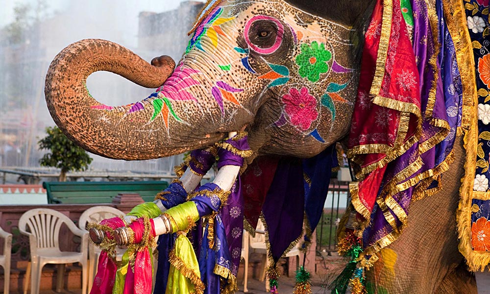 Jaipur Elephant Festival, Rajasthan